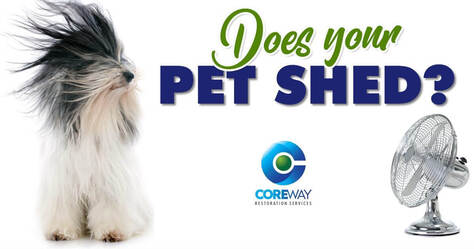 Does your pet shed